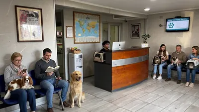 Recepción y sala de espera de la clínica veterinaria en Av. Pdte. Ibáñez 0312, Puerto Montt
