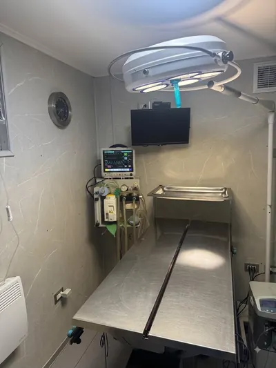 Pabellón quirúrgico de Clínica Veterinaria Austral en Puerto Montt, con mesa de cirugía y monitor anestésico