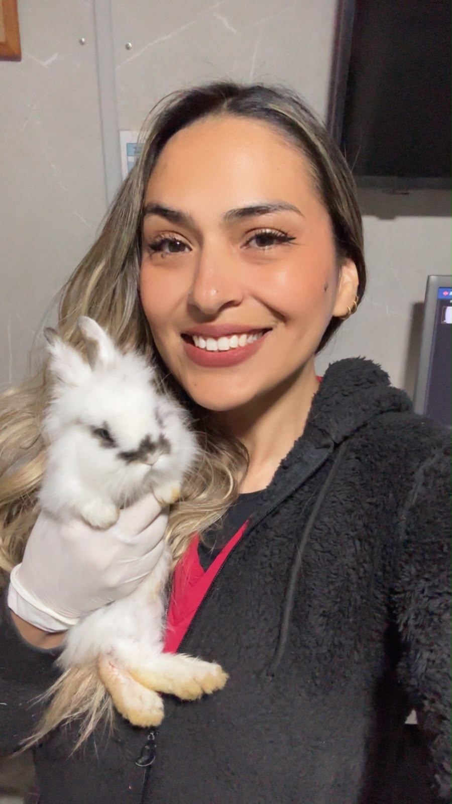 Conejo en control veterinario